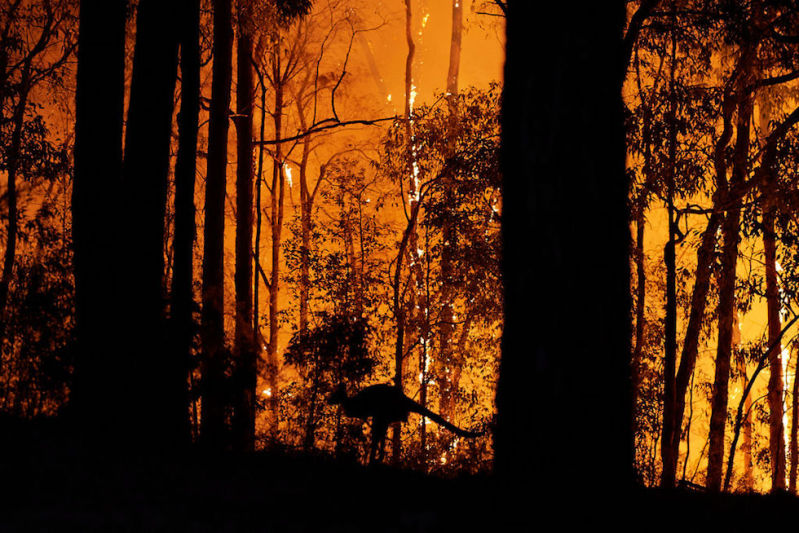 Australie-incendies
